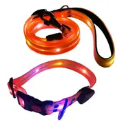 Flash Pet Leash Small - Rechargeable, Light Up Pet Leash and Collar