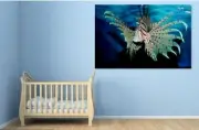 fish-aquarium-blue-nature- high quality wall Canvas wall art home decor