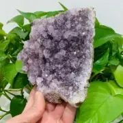 619g Natural Amethyst Geode Mineral Specimen Crystal Quartz Energy Decoration
