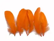 1 Pack - Orange Goose Nagoire Loose Feather 0.25 Oz. Craft Dream Catcher USA