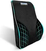 Physio Factory Lumbar Support Pillow, Memory Foam Back Cushion, Orthopedic Backrest with Breathable 3D Mesh for Car Seat Cushion, Office Chair, Computer Chair Back Support, Wheelchair Ergonomic Design