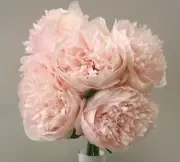 SILK WEDDING BOUQUET SHABBY ROSE FLOWER PINK PEACH PEONIE PEONY BOUQUET