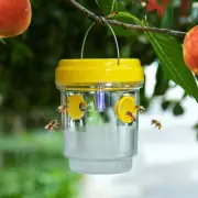 Wasp Trap Outdoor Hanging Solar Powered Wasp Trap Outdoor Hanging Trap9804