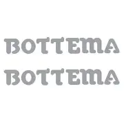 Bottema - DIE CUT fork decals - CHROME - Old school bmx