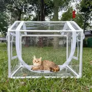 Mini Greenhouse Easy to Install Practical Plant Tent for Pet Backyard Window