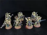 Warhammer 40K DPS painted Death Guard Plague Marines SK1814