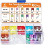 JOREST 60Pcs Car Fuse Kit - Mini Blade Fuses + Fuse Puller