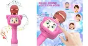 (HP) Homily Karaoke Wireless Microphone Magic Sound Function Portable Bluetooth