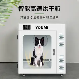 【台灣專供，全款請質詢】 YOUMI悠米寵物烘干箱家用吹水機吹風箱貓咪狗狗烘干機中型犬家用
