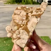 278GNatural Cherry blossom agate Crystal Rough slices stone specimens