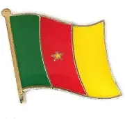 Cameroon Waving Flag Lapel Pins, Patriotic Flag Metal Pin