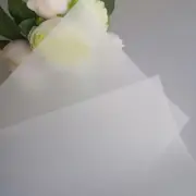 20/40/100/200 A4 Screen Printing Transparent Inkjet Film Paper Stencil Design