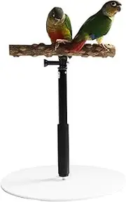 Bird Barch Stand - Parrot Stand, Wooden Bird Play Stand, Pet Bird Training Barch, Adjustable Bird Stand for Parakeets, Cockatiels, Lovebirds, Finches, Small to Medium Birds, Interak
