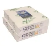 Excel One (16607) Carbonless Paper, 8.5 x 11, 4-Part Forward -2 Reams (250 Sets)