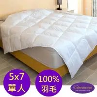 在飛比找PChome24h購物優惠-【Comfortsleep】5x7尺單人100%羽毛冬被