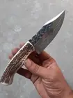 Custom Handmade Damascus Steel Skinner Knife Fixed Blade Stag Handle
