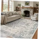 Area Rugs 5x7, Washable Rugs for Living Room, Vintage Boho Light Blue Rug for
