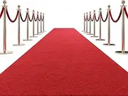 HOMBYS 450 GSM Extra Thick Red Carpet Runner for Partys & Events 3x10 ft, Non-Slip Rubber Backed Aisle Runway Rug for Step, Proposal & Wedding Decorations, Hollywood Oscars Runway, (Red, 3x10 ft)