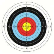 10pcs 40x40cm Profession Archery Targets Paper Bow Arrow Gauge Shooting Darts