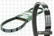 Drive Belt Ribbed Fits Chrysler PT CRUISER Opt2/2 2.4 EDZ PT 0921KP4