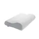 (M號) TEMPUR 丹普 Original Neck Pillow 原創感溫頸枕 枕頭 人體工學 日本必買代購 禮物