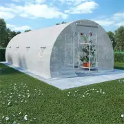 Greenhouse with Steel Foundation 18m 6x3x2 meters