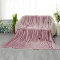 在飛比找樂天市場購物網優惠-空調毯 法蘭絨毛毯被子床單加厚珊瑚絨空調毯單人雙人夏季毛巾被
