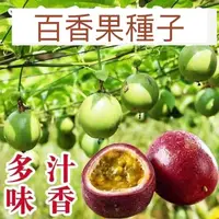 在飛比找蝦皮購物優惠-【百香果種子】紫皮百香果 綠皮百香果哥倫比亞百香果種子 香蕉