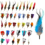 39 Pcs Assorted Hat Feathers Party Accessories for Cowboy Hats Fedora Hats
