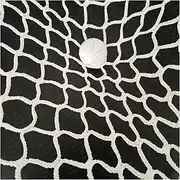 Football Soccer Backstop Net, Golf Backstop Net, Replacement Net for Baseball Hitting Net Sports Netting Material Soccer Rebounder Goal Net Baseball Barrier Hockey Net