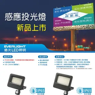 EVERLIGHT 億光 LED 30W 50W 星宇紅外線感應投光燈