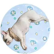 Pet Cooling Mat - Pet Cooling Pad | Waterproof Washable Non-Slip Calming Blanket for Kennel Crate Car Indoor Outdoor Camping