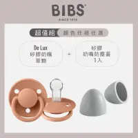 在飛比找momo購物網優惠-【BIBS】De Lux矽膠安撫奶嘴+矽膠奶嘴防塵蓋