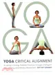 Yoga Critical Alignment ─ Building a Strong, Flexible Practice Through Intelligent Sequencing and Mindful Movement