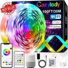 30M WiFi LED Strip Lights 100FT Music Sync RGB for Alexa Google Home Control
