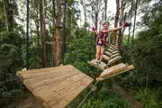 Sunshine Coast Adventure Park - Woombye