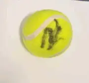 ANDY RODDICK TENNIS CHAMPION SIGNED IN PERSON TENNIS BALL COA