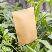 100Pcs Kraft Paper Seed Protective Envelope Storage Bags Mini Envelope~JL