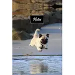 PUG DOG PUP PUPPY DOGGIE NOTEBOOK BULLET JOURNAL DIARY COMPOSITION BOOK NOTEPAD - JUMPING INTO RIVER: CUTE ANIMAL PET OWNER COMPOSITION BOOK WITH 100