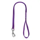 PET Dog Cat NYLON RESTRAINT Noose LOOP w/Clip for Grooming Table Arm Bath*PURPLE