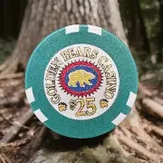 Golden Bears Casino $25 chip. Clean-prototype- obsolete