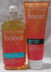 Bath & Body Works Aromatherapy Wash Foam Bath Cream Set of 2 BOOST TANGELO WODOS