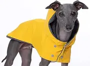 Yigi Italian Greyhound Hooded Waterproof Raincoat with Harness Opening, Fleece Lining - Adjustable, Lightweight, Breathable Rain Poncho Dog Rain Coat Jacket for Italian Greyhound (Medium)