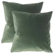 New Arison Cotton Throw Pillow (Set of 2) Full Down Feathers Reversible NB207