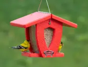 Kettle Moraine "Mini Moraine" Small Recycled Curved Hopper Bird Feeder