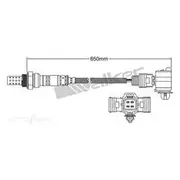 PAT Oxygen/Lambda Sensor Post Catalytic Converter - EGO-754