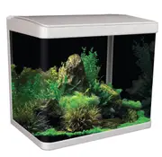 Aqua One LifeStyle 29L Aquarium Gloss White- White