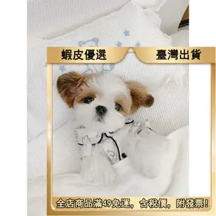 ✍️寵物用品 狗衣服薄款網紅小熊維尼圖案家居睡衣襯衫寵物泰迪博美小狗狗服飾