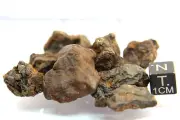 Meteorite NWA 15210 Pallasite Meteorite, 50 gram, from outer space