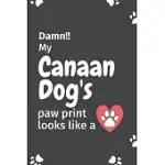 DAMN!! MY CANAAN DOG’’S PAW PRINT LOOKS LIKE A: FOR CANAAN DOG FANS